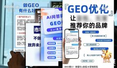者联系上了一家业内较为出名的GEO办事商